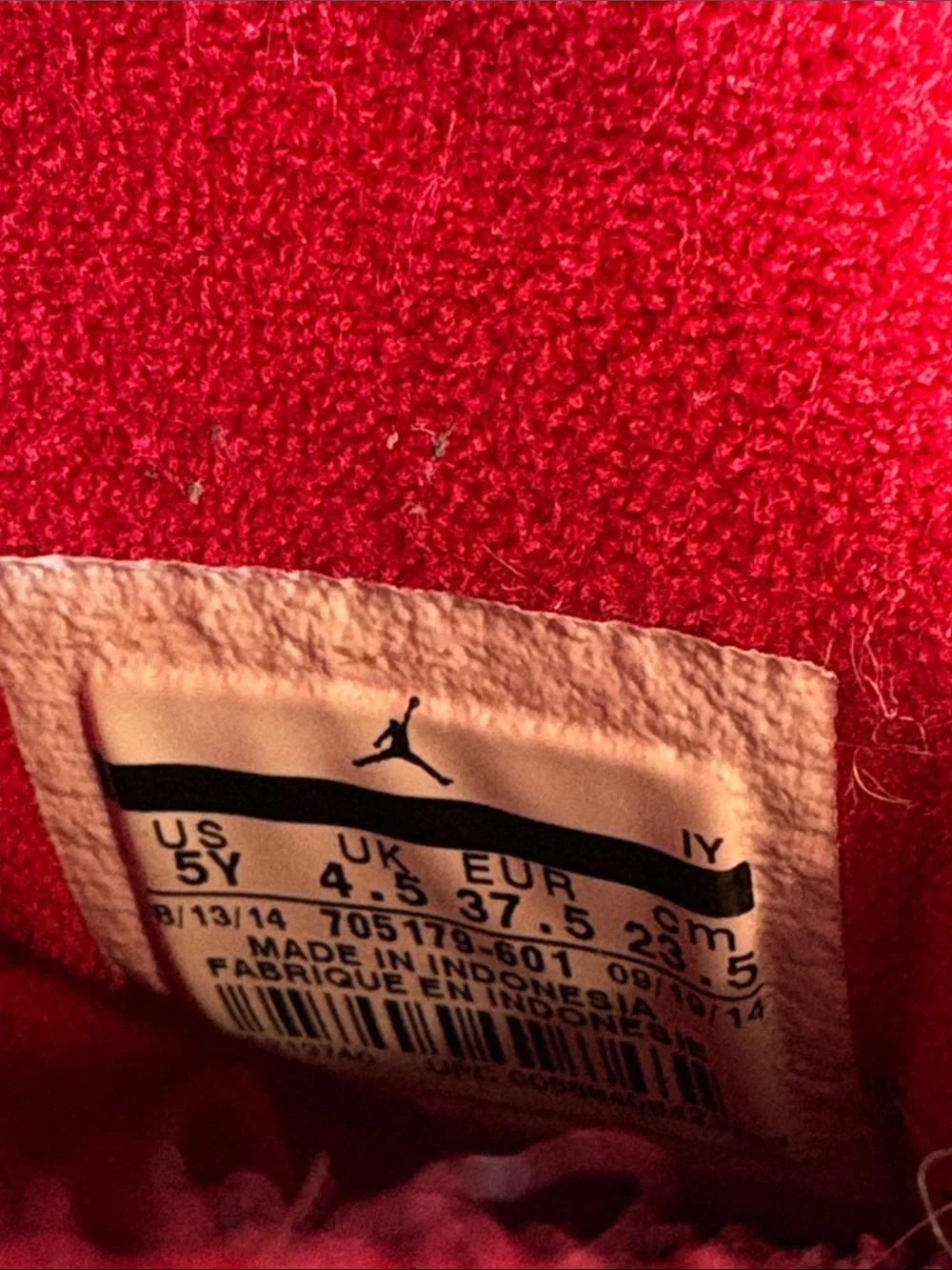 Air Jordan 10 Retro BG 